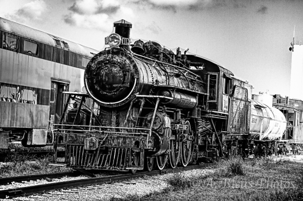 The Gold Coast Railroad Museum, Miami Steam Locomotive No. 113
