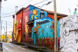 The Graffiti City 4, Valparaiso-10