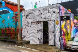 The Graffiti City 4, Valparaiso-9